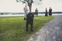 FORMALS-15