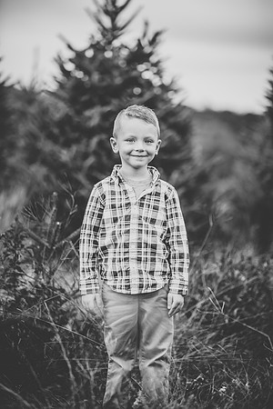 ostrander2018-12