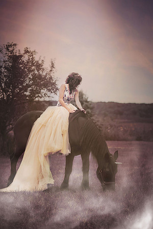 unicorn-1