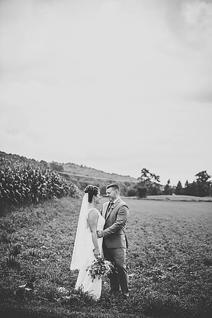 WEDDING-650