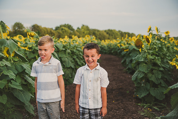 maternitysunflowers-27