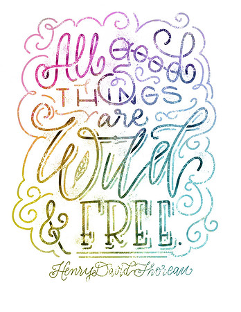 wild & free